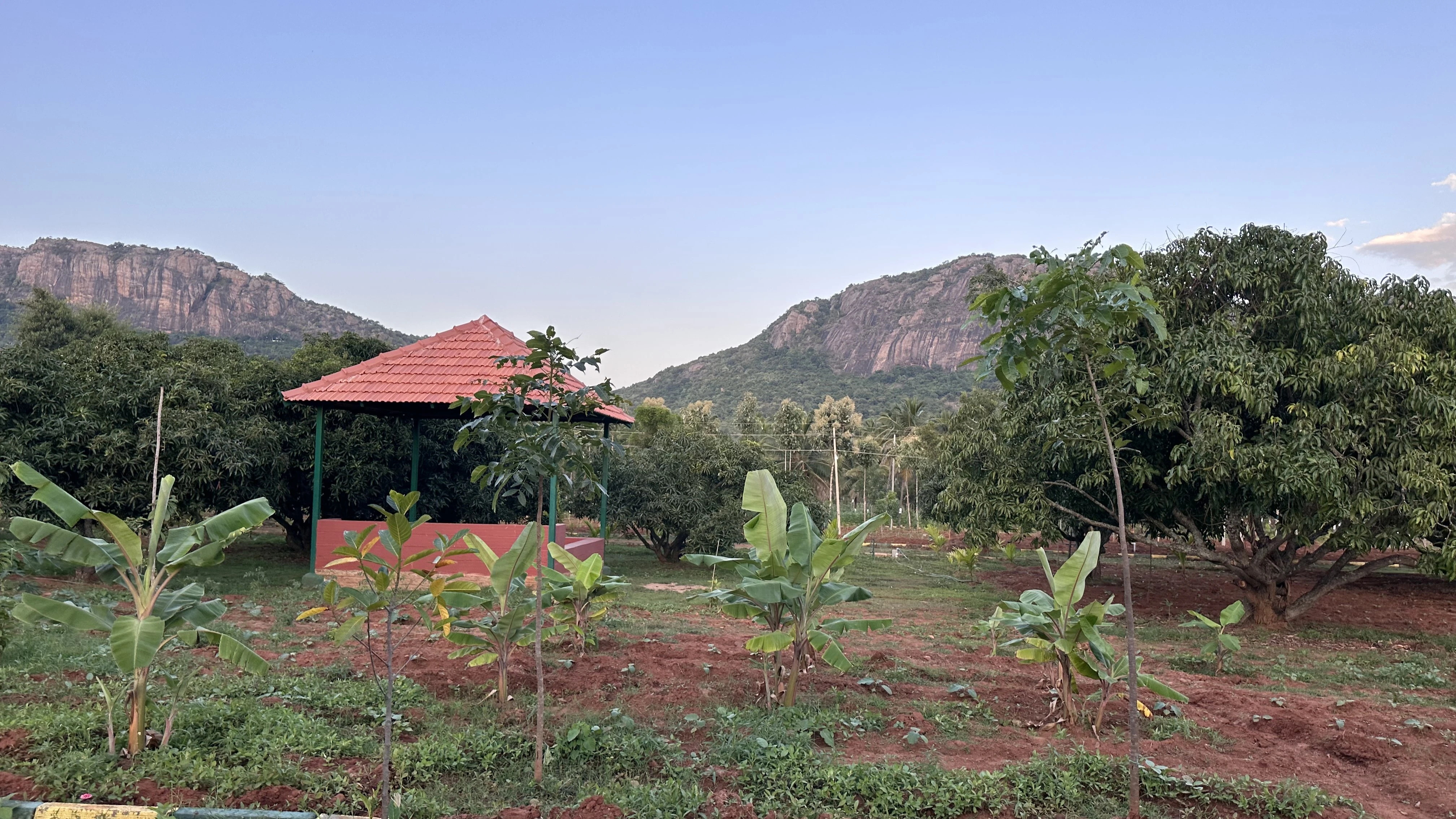 managed farm land-agriculture land for sale near bangalore-cheap farm land near bangalore-farm home for sale near me-agriculture land near bangalore